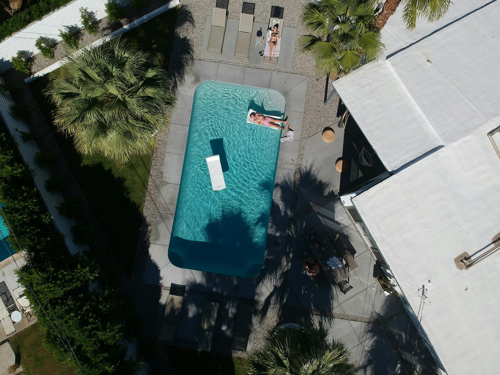 A rectangular pool from above, among palms